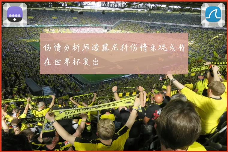 伤情分析师透露尼科伤情乐观或将在世界杯复出