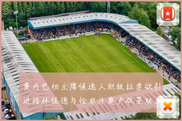 费内巴切主席候选人积极拉票欲引进格林伍德与恰尔汗奥卢双星助力球队